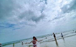 日本一卡一卡二新区乱码仙踪林网